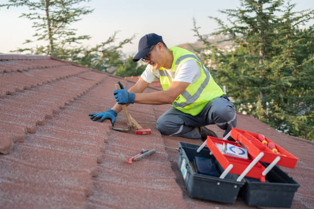 Best Sealant for Roof  in Sallisaw, OK
